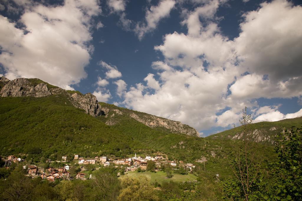 Radika View House Apartment Galicnik Room photo